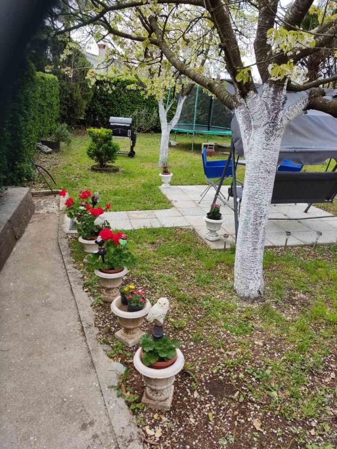 Apartman David-Drazice Esterno foto